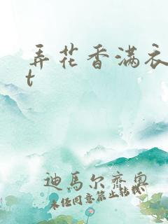 弄花香满衣txt