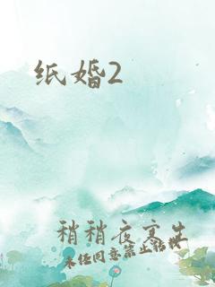 纸婚2