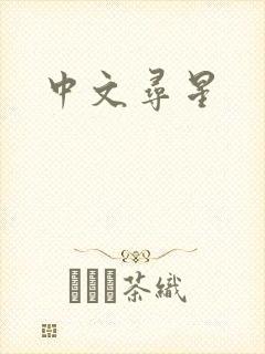 中文寻星