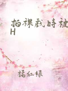 拍裸戏时被C了H