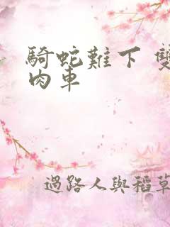 骑蛇难下 双 肉车