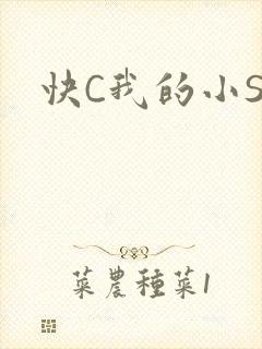 快C我的小SB