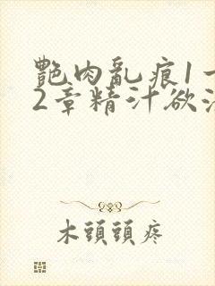 艳肉乱痕1一12章精汁欲液