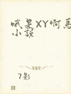 哦是XY啊马仔小说