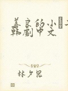 善良的小峓子2韩剧中文