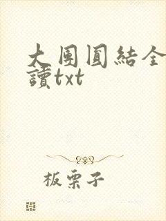 大团圆结全文阅读txt