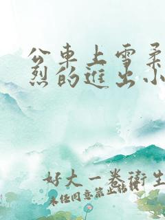 公车上雪柔被猛烈的进出小说