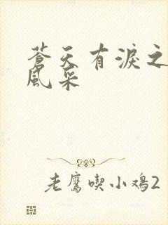 苍天有泪之军人风采