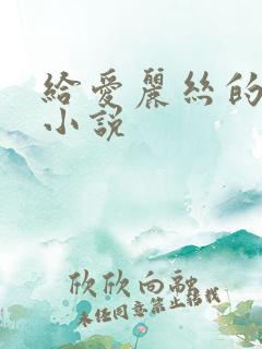 给爱丽丝的奇迹小说