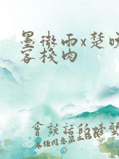 墨微雨x楚晚宁客栈肉