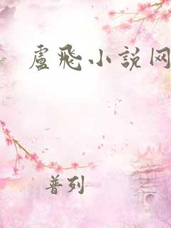 卢飞小说网