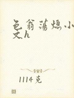 色翁荡熄小说全文h