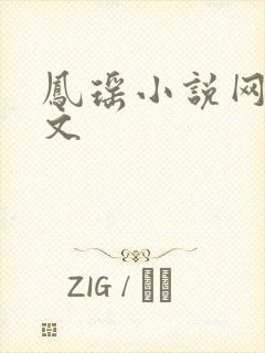 凤瑶小说网高辣文