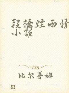 段桥烟雨情难离小说