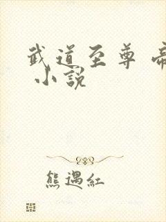 武道至尊 帝临 小说