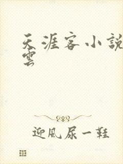 天涯客小说百度云