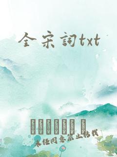 全宋词txt
