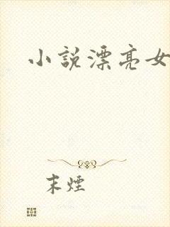 小说漂亮女局长