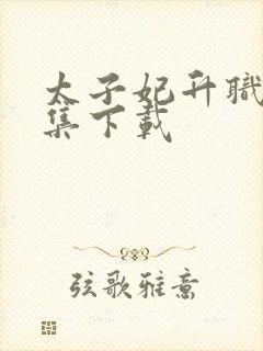 太子妃升职记全集下载