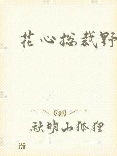 花心总裁野蛮妻