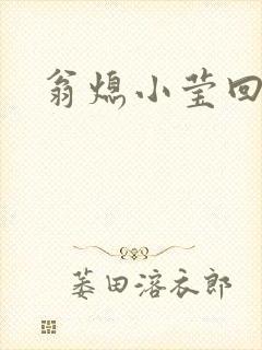 翁熄小莹回乡下