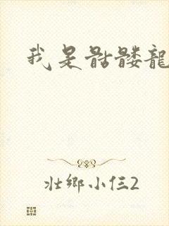 我是骷髅龙骑兵