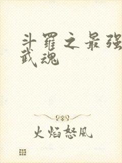 斗罗之最强治疗武魂