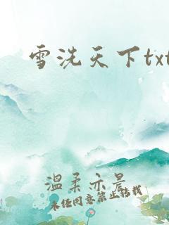 雪洗天下txt