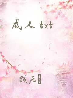 成人 txt