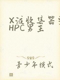X液收集器系统HPC男主