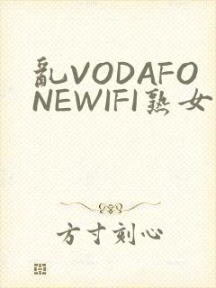乱VODAFONEWIFI熟女