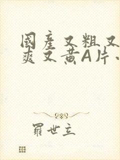 国产又粗又猛又爽又黄A片小说