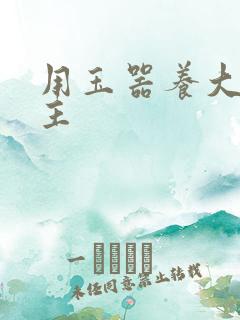 用玉器养大的公主