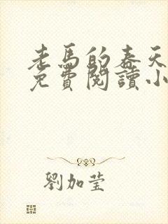 老马的春天全文免费阅读小说