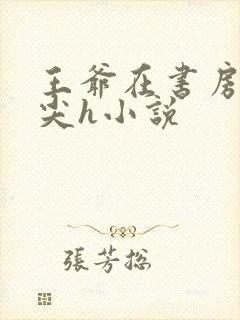 王爷在书房含乳尖h小说