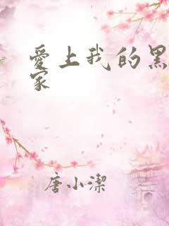 爱上我的黑道冤家