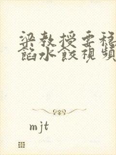 梁教授要稳住肉馅水饺视频