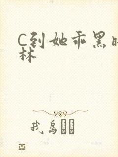 C到她乖黑暗森林