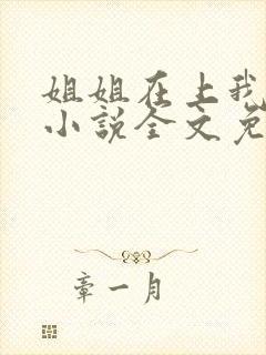 姐姐在上我在下小说全文免费阅读