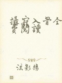 摄宠入骨全文免费阅读