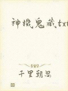 神机鬼藏txt