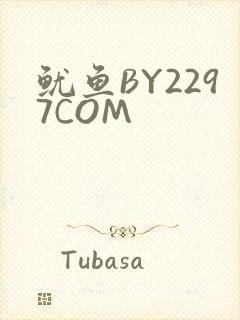 鱿鱼BY2297COM
