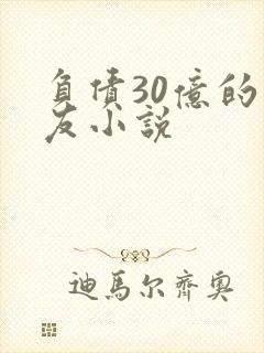 负债30亿的男友小说