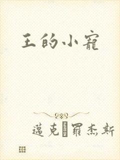 王的小宠