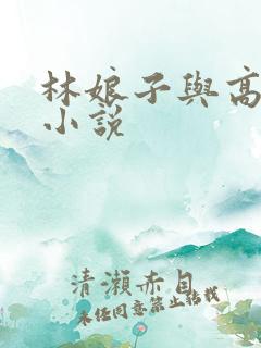 林娘子与高衙内小说