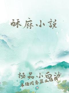 酥麻小说