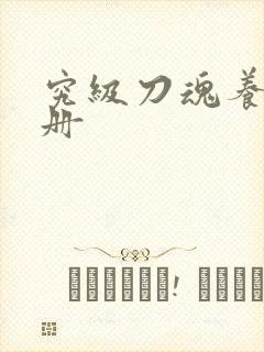 究级刀魂养成手册