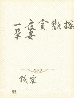 一夜贪欢总裁幸孕妻