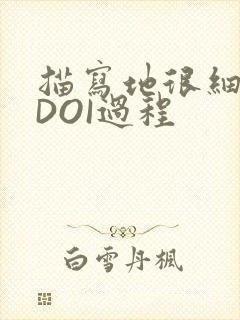 描写地很细致的DOI过程