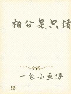 相公是只猪